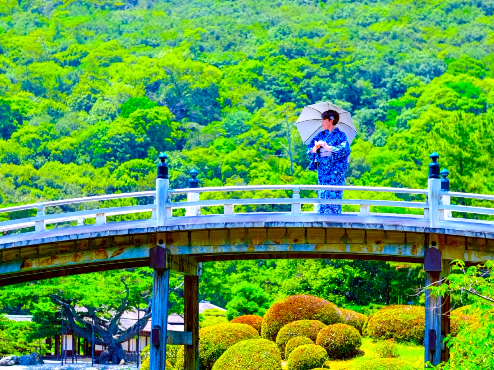 Don a kimono and take a stroll in the 3 Michelin-starred Ritsurin Park